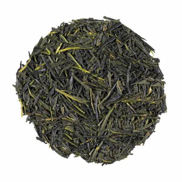 Gyokuro Mikoto Bio, dettaglio del tè verde in foglie di alta qualità