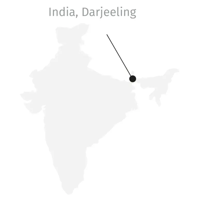 Mappa schematizzata dell'India con evidenza della posizione del Darjeeling, area molto importante per la produzione di tè