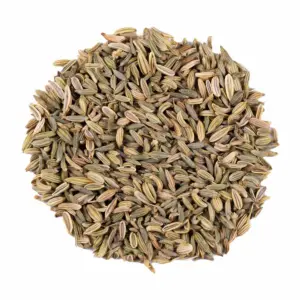 Tisana al Finocchio
