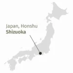 Shizuoka, Giappone, dove vengono prodotti tè in figlia biologici