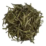 Germogli d'Argento del Mozambico